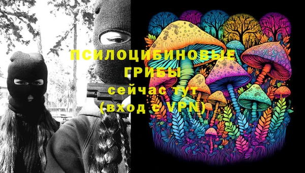 молекула духа Алексеевка