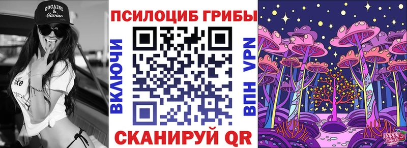 Псилоцибиновые грибы мицелий  Кашин 